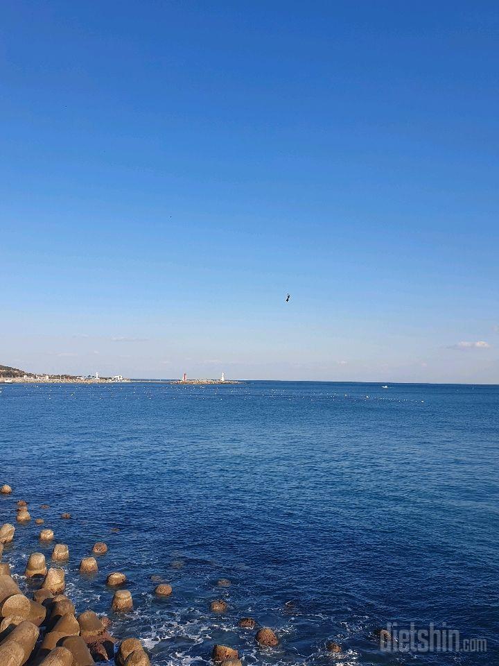 힐링하세요~🏖🏝