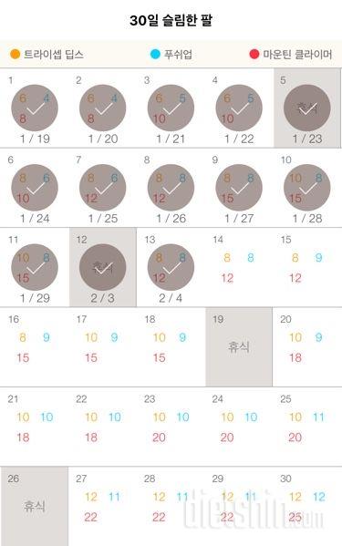 30일 슬림한 팔 13일차 성공!