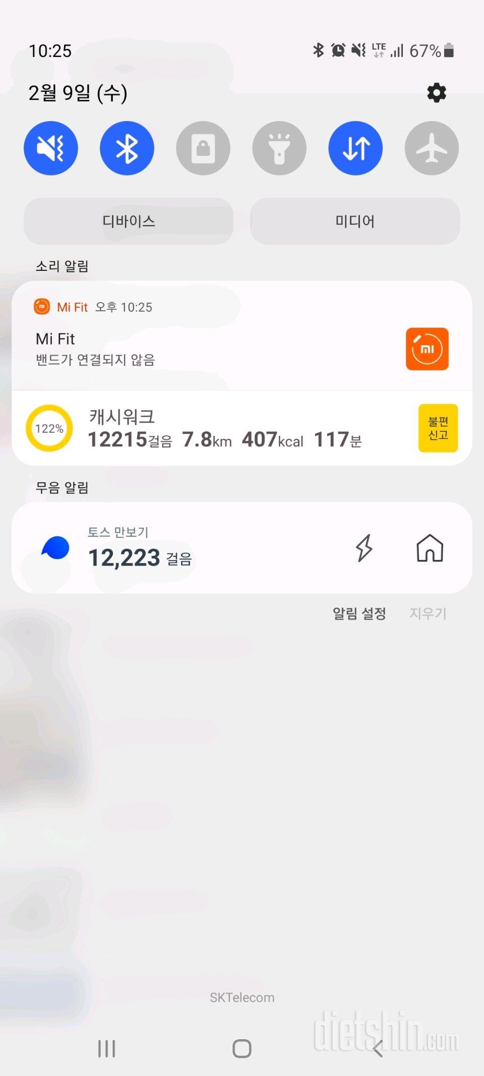 30일 만보 걷기 285일차 성공!