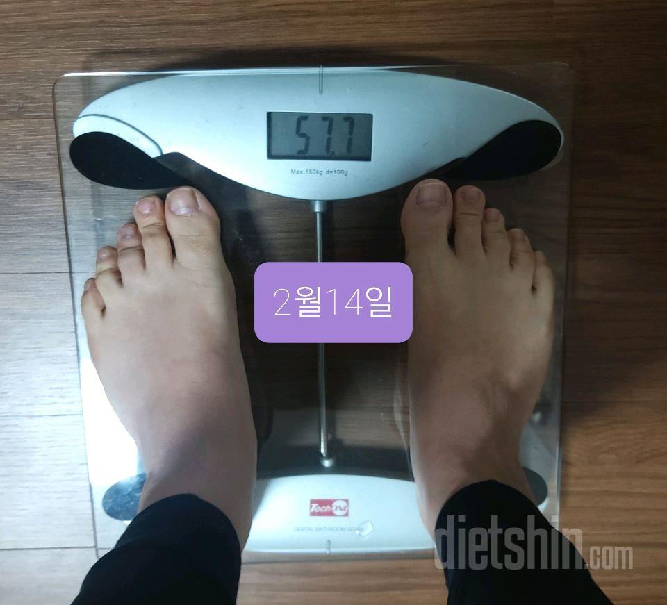 8일차 공복몸무게