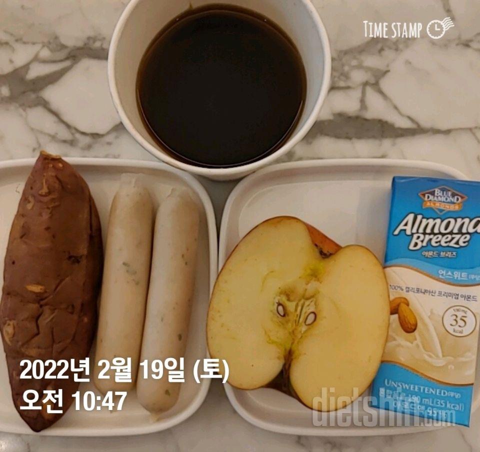 2/19 토요일