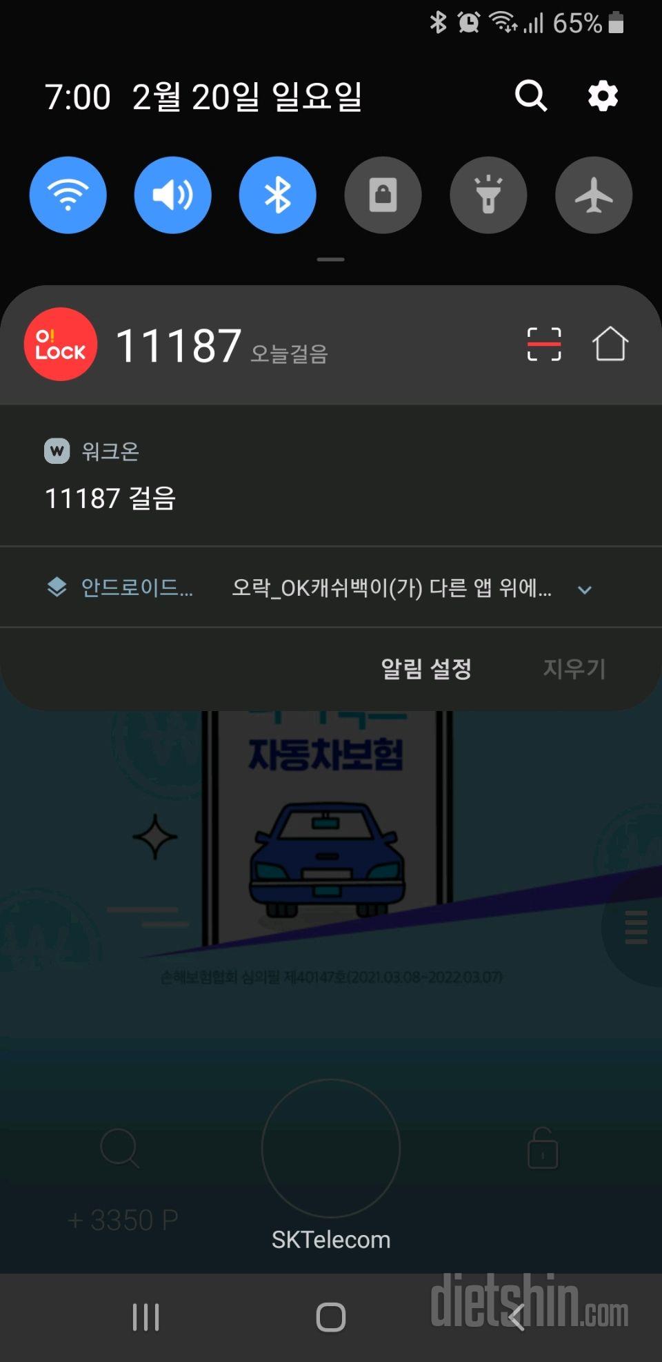 30일 만보 걷기 104일차 성공!