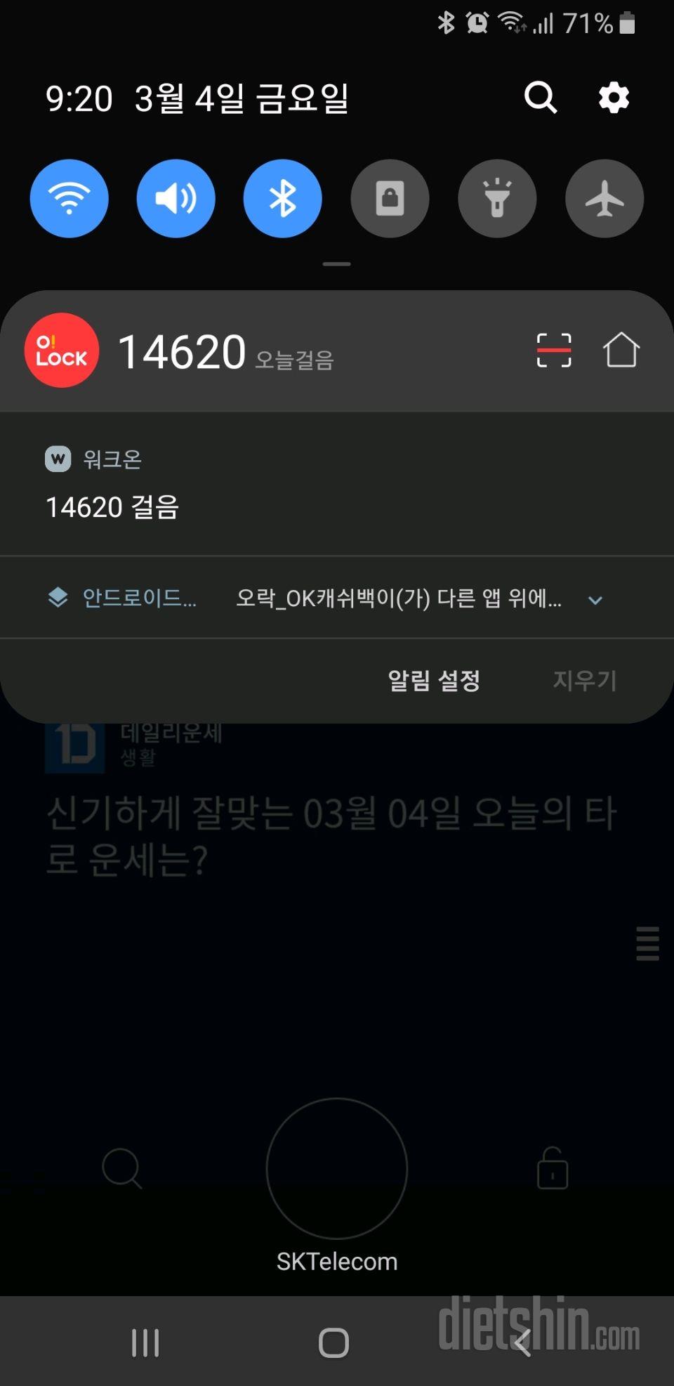 30일 만보 걷기 116일차 성공!