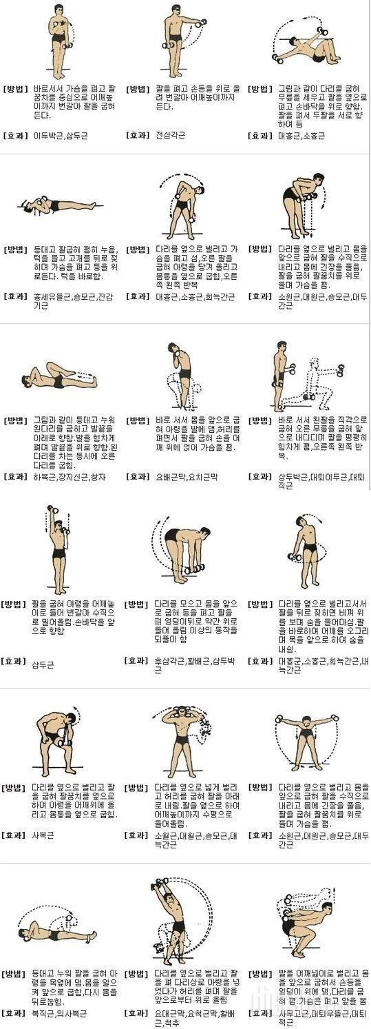 체중계 달고살기(2)...근력운동.