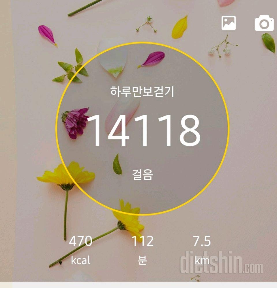 30일 만보 걷기 181일차 성공!