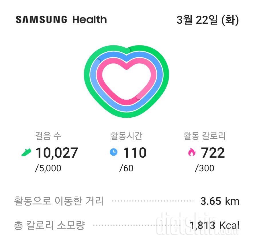 30일 만보 걷기 37일차 성공!