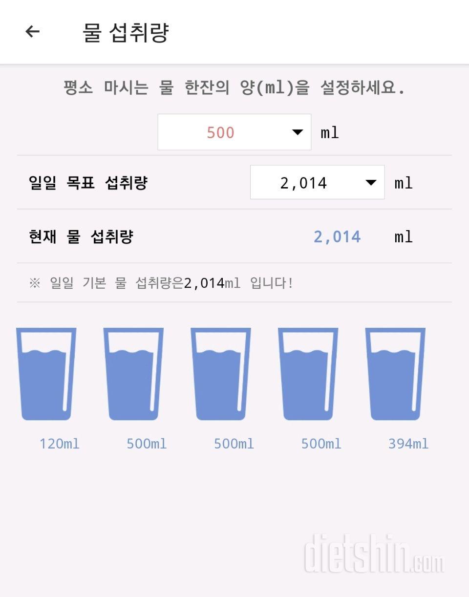 30일 하루 2L 물마시기11일차 성공!