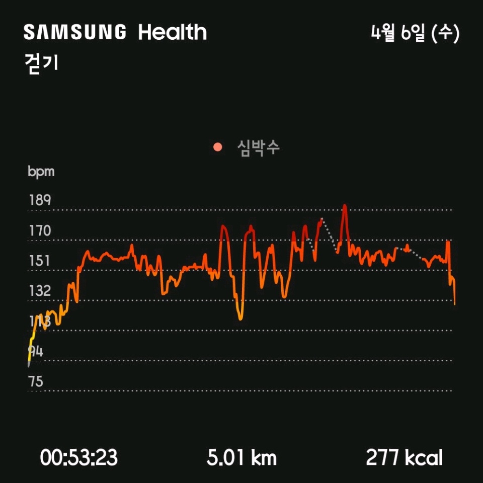 04월 06일( 운동 280kcal)