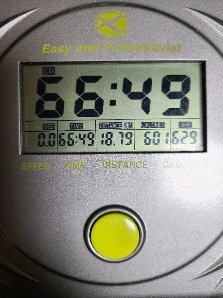 04월 09일( 운동 645kcal)