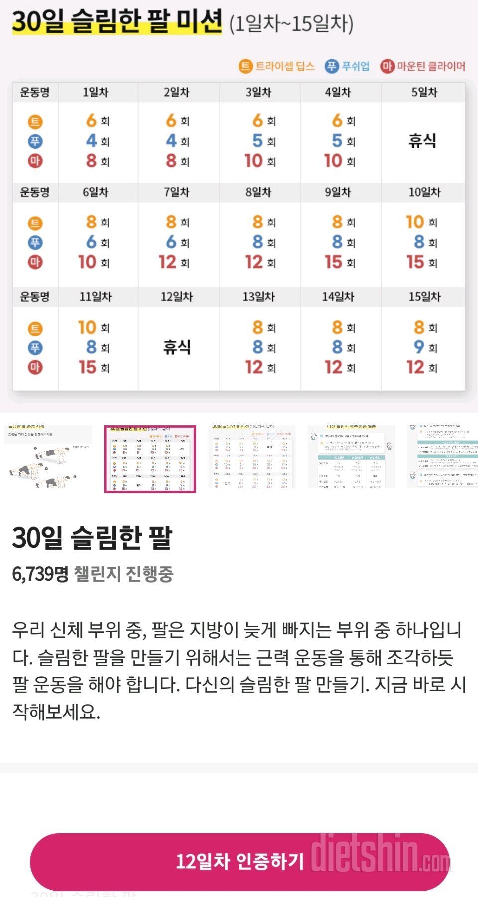 30일 슬림한 팔12일차 성공!