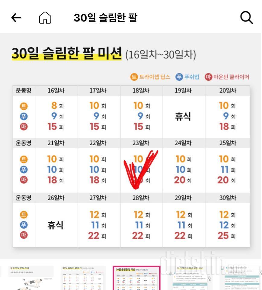 30일 슬림한 팔23일차 성공!