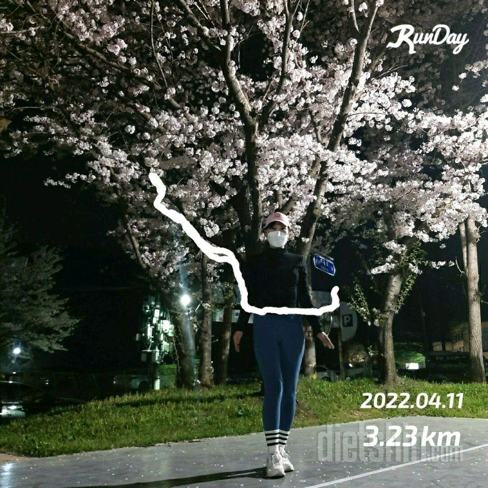 오늘 런데이 13km