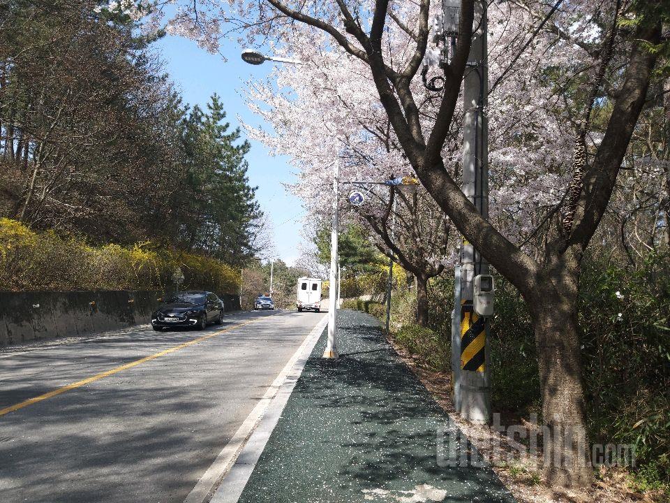 오늘 런데이 13km