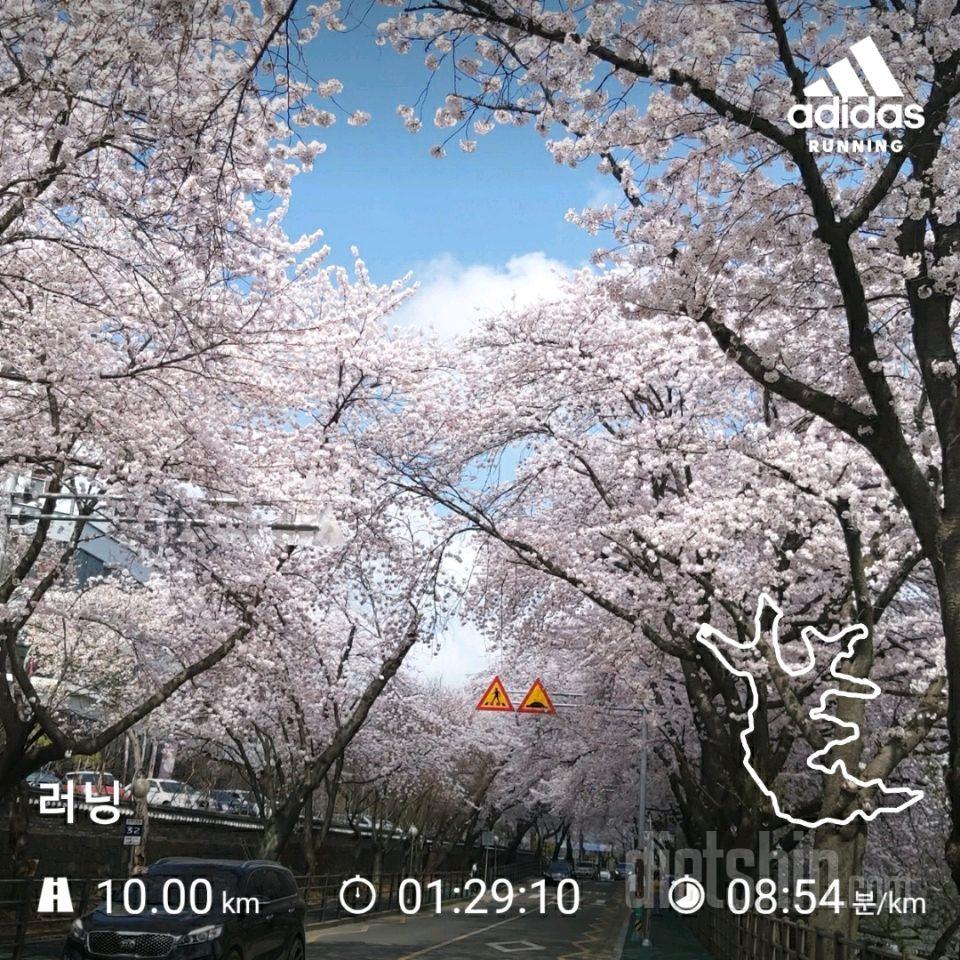 오늘 런데이 13km