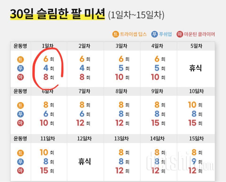 30일 슬림한 팔 1일차 성공!