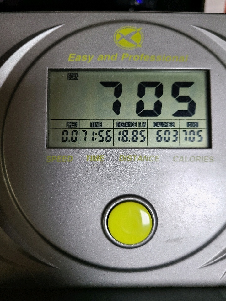 04월 13일( 운동 645kcal)