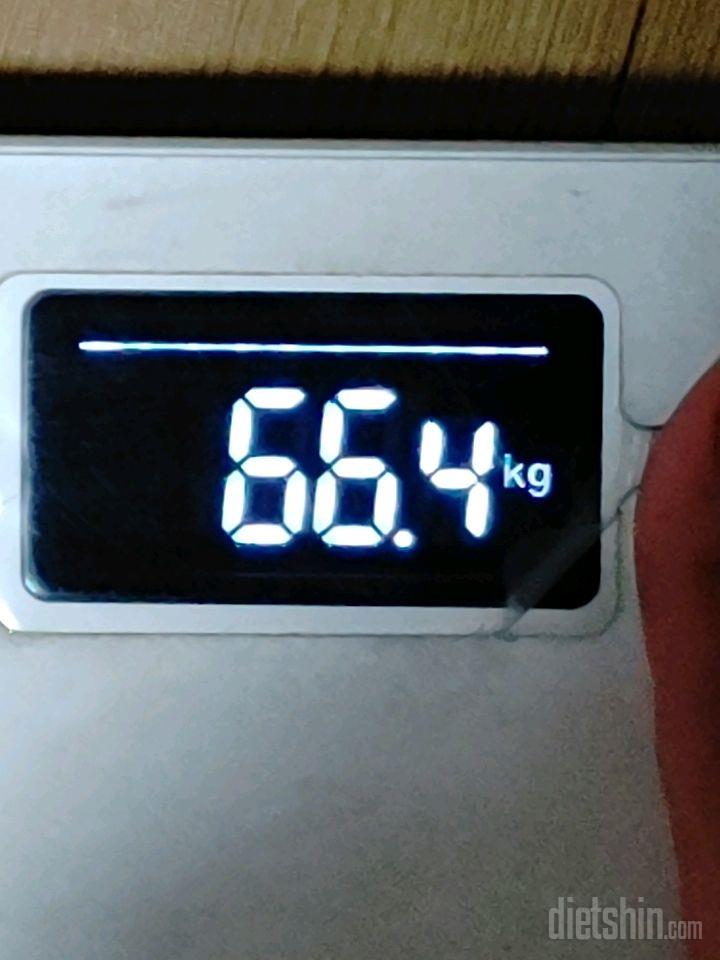 4.16일 66.4kg