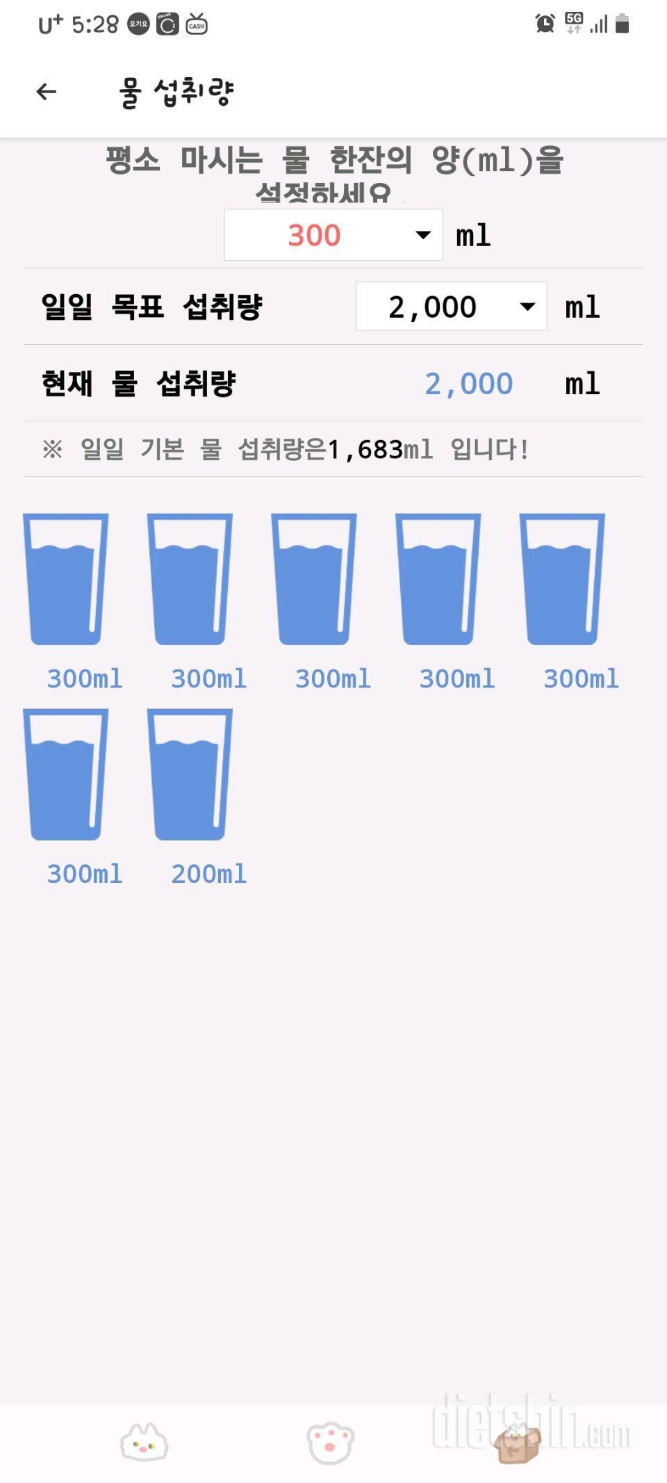 30일 하루 2L 물마시기31일차 성공!