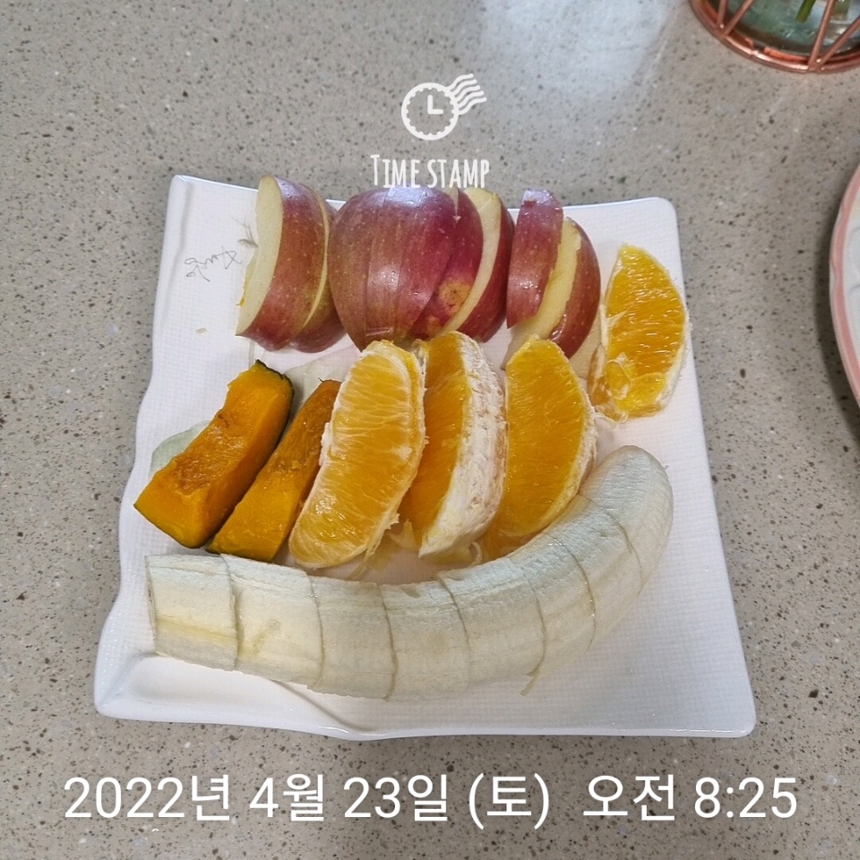 04월 23일( 아침식사 238kcal)