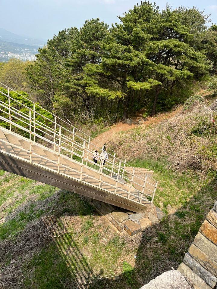 오늘은 계족산