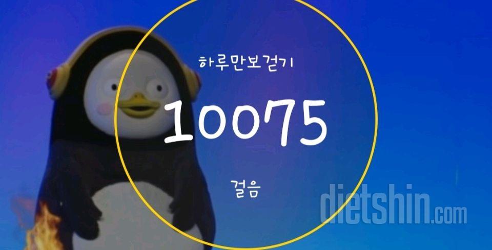 30일 만보 걷기109일차 성공!