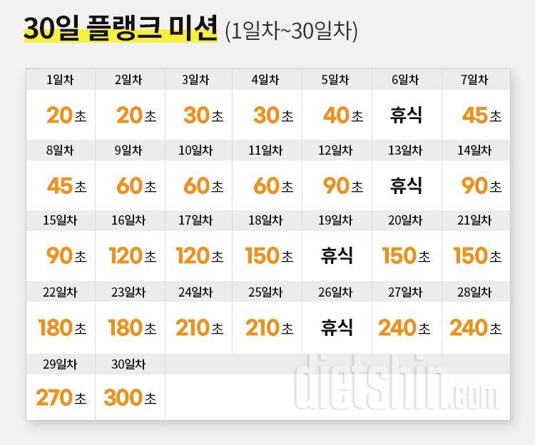 30일 플랭크31일차 성공!