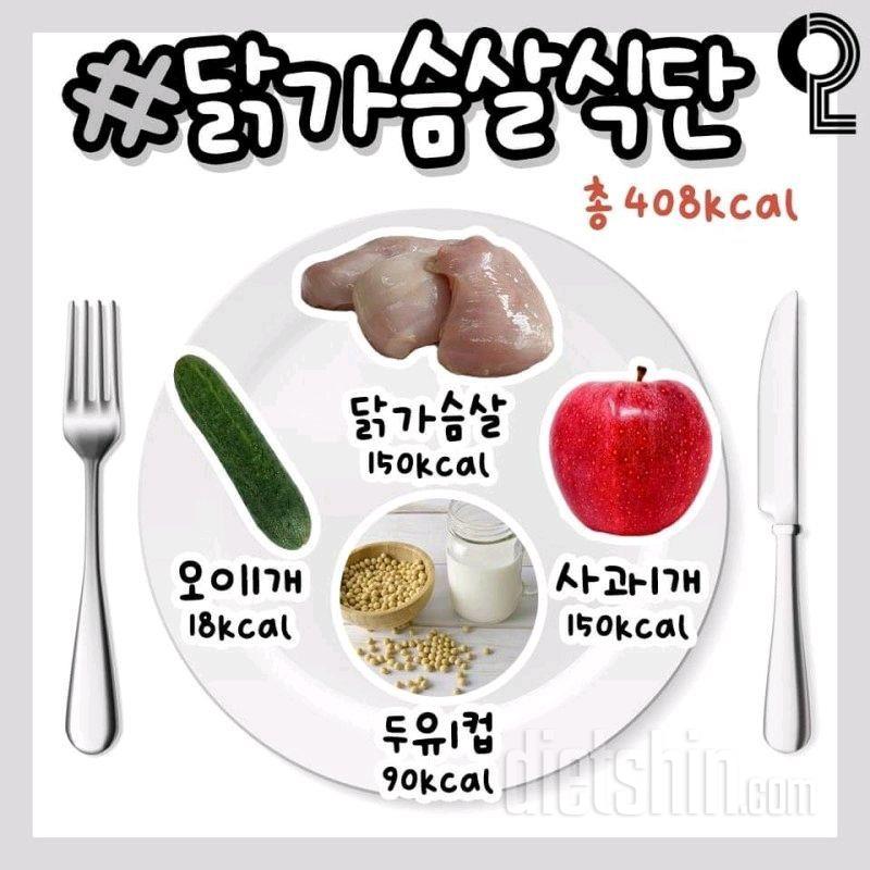 식단모음