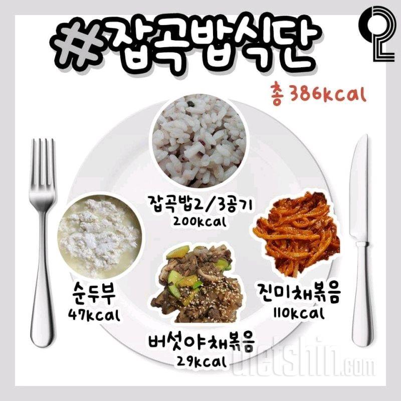 식단모음