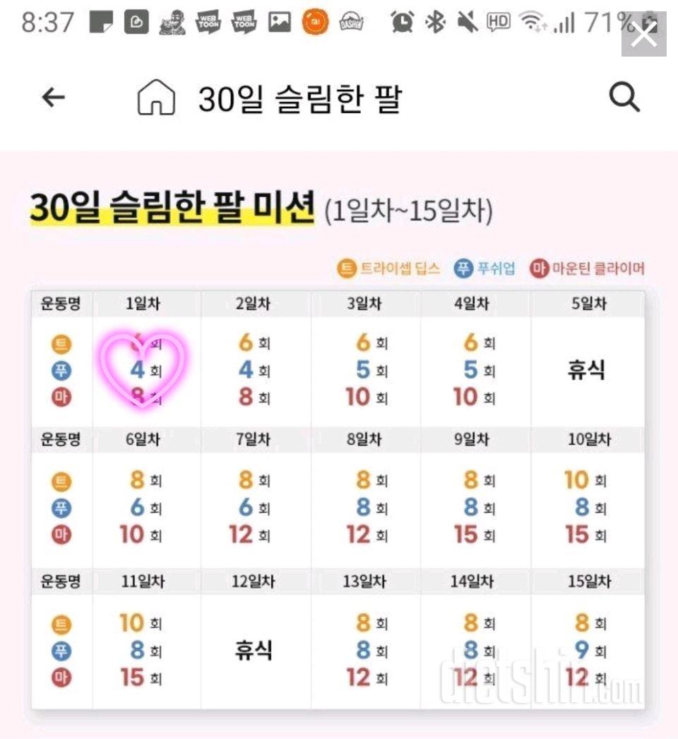 30일 슬림한 팔 1일차 성공!