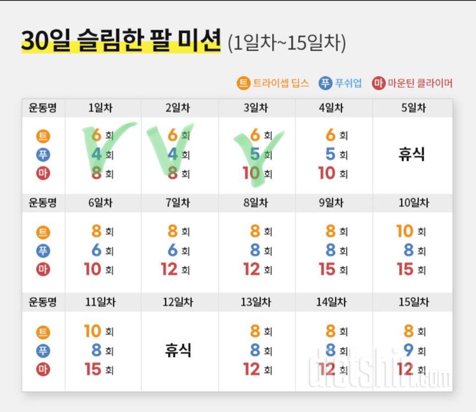 30일 슬림한 팔3일차 성공!