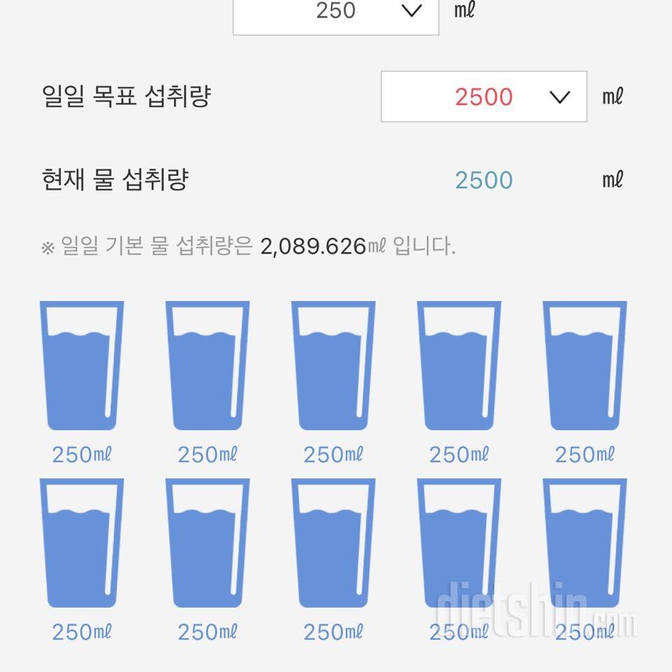 30일 하루 2L 물마시기4일차 성공!