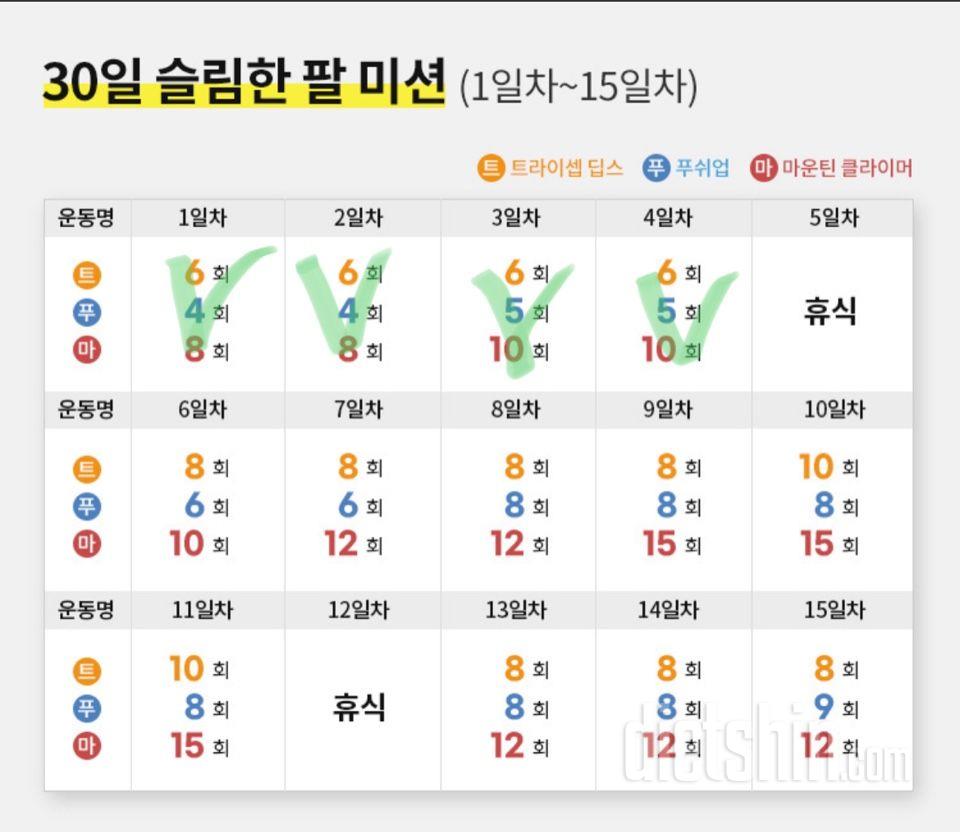 30일 슬림한 팔4일차 성공!