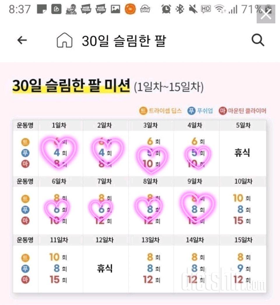 30일 슬림한 팔9일차 성공!