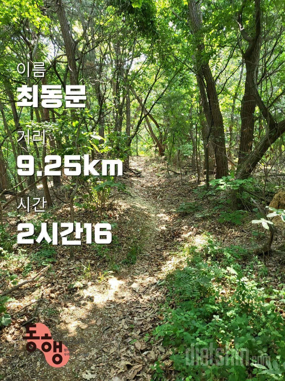 조선일보와 신한은행이 주최하는 5키로미터 걷기대회
