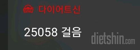 30일 만보 걷기4일차 성공!