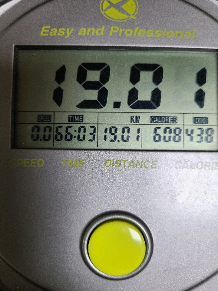 06월 02일( 운동 600kcal)