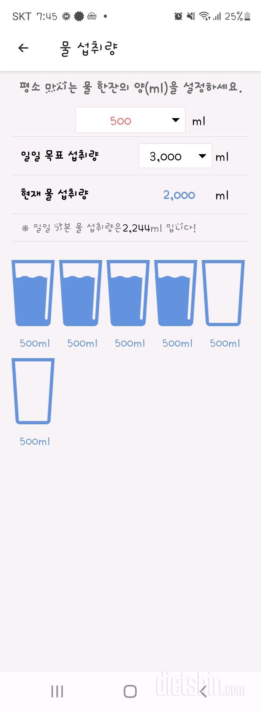 30일 하루 2L 물마시기3일차 성공!