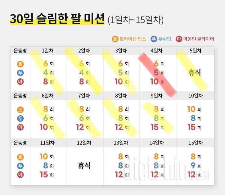 30일 슬림한 팔 9일차 성공