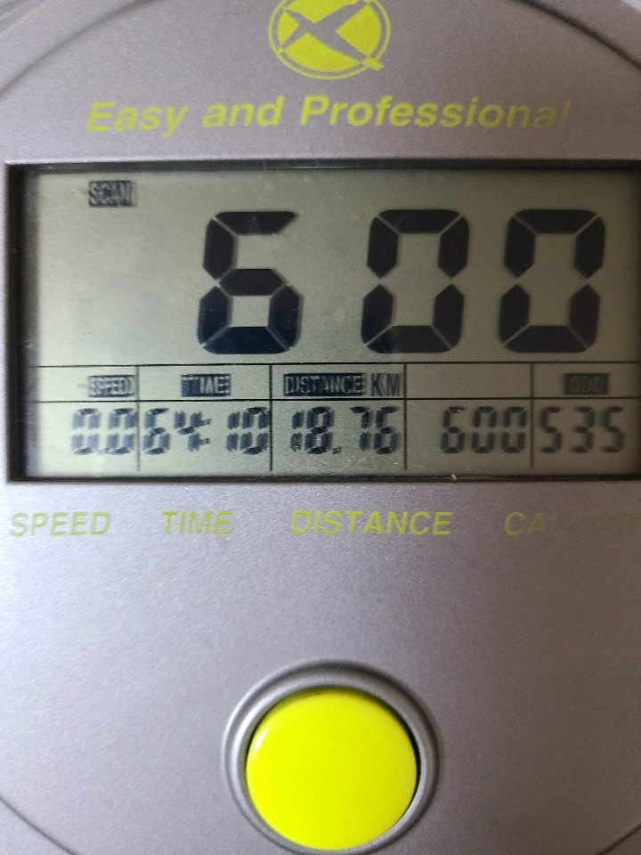 06월 10일( 운동 600kcal)