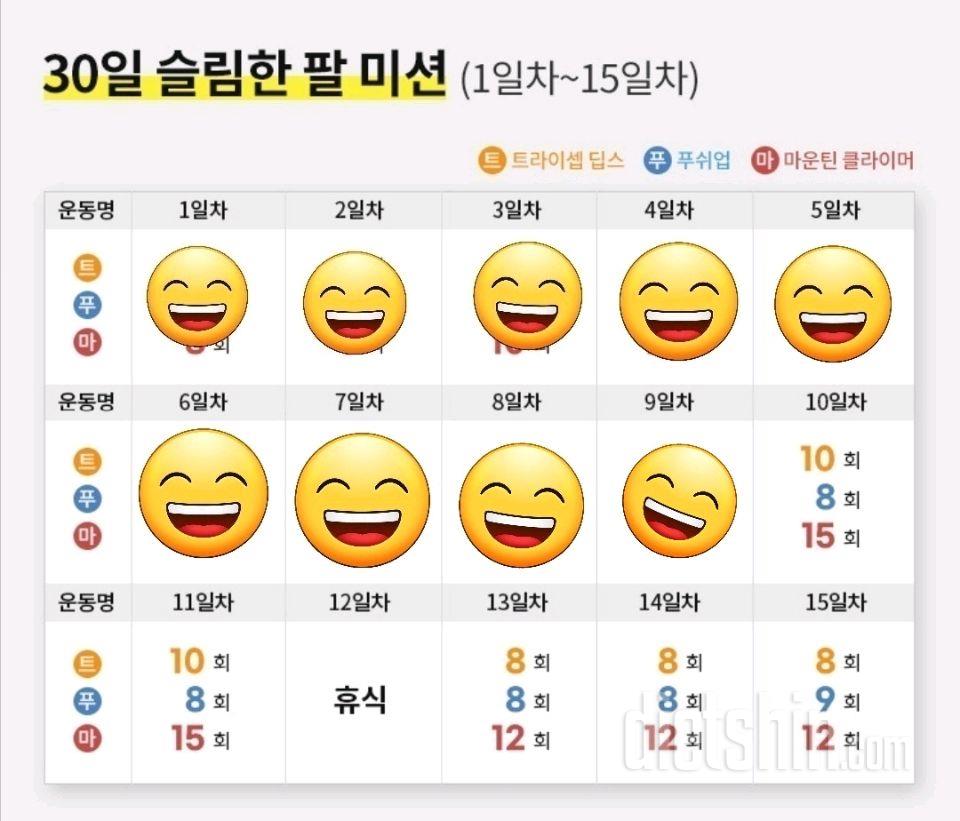 30일 슬림한 팔9일차 성공!