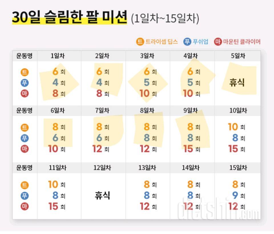 30일 슬림한 팔99일차 성공!