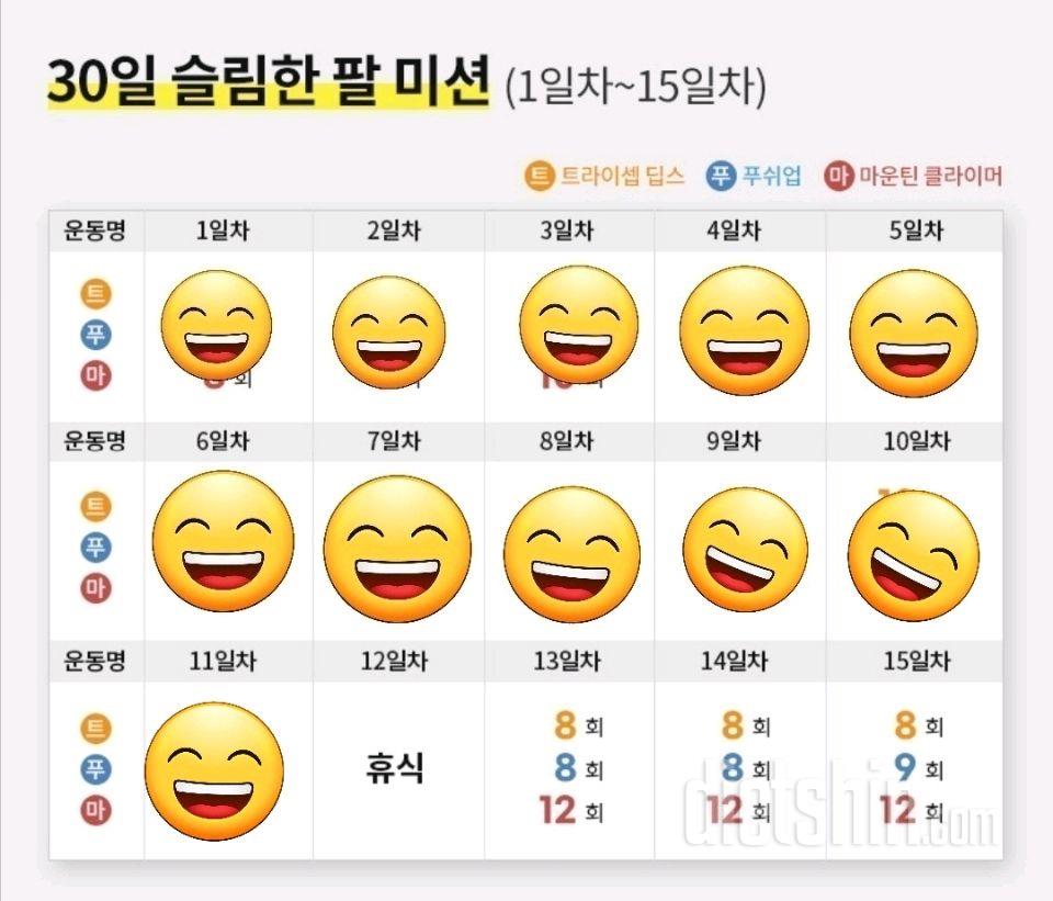 30일 슬림한 팔11일차 성공!