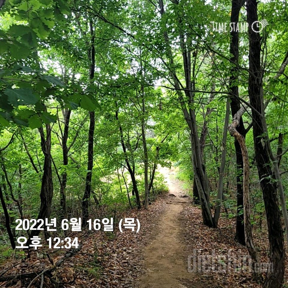 6/16  산행 ㅡ하이킹