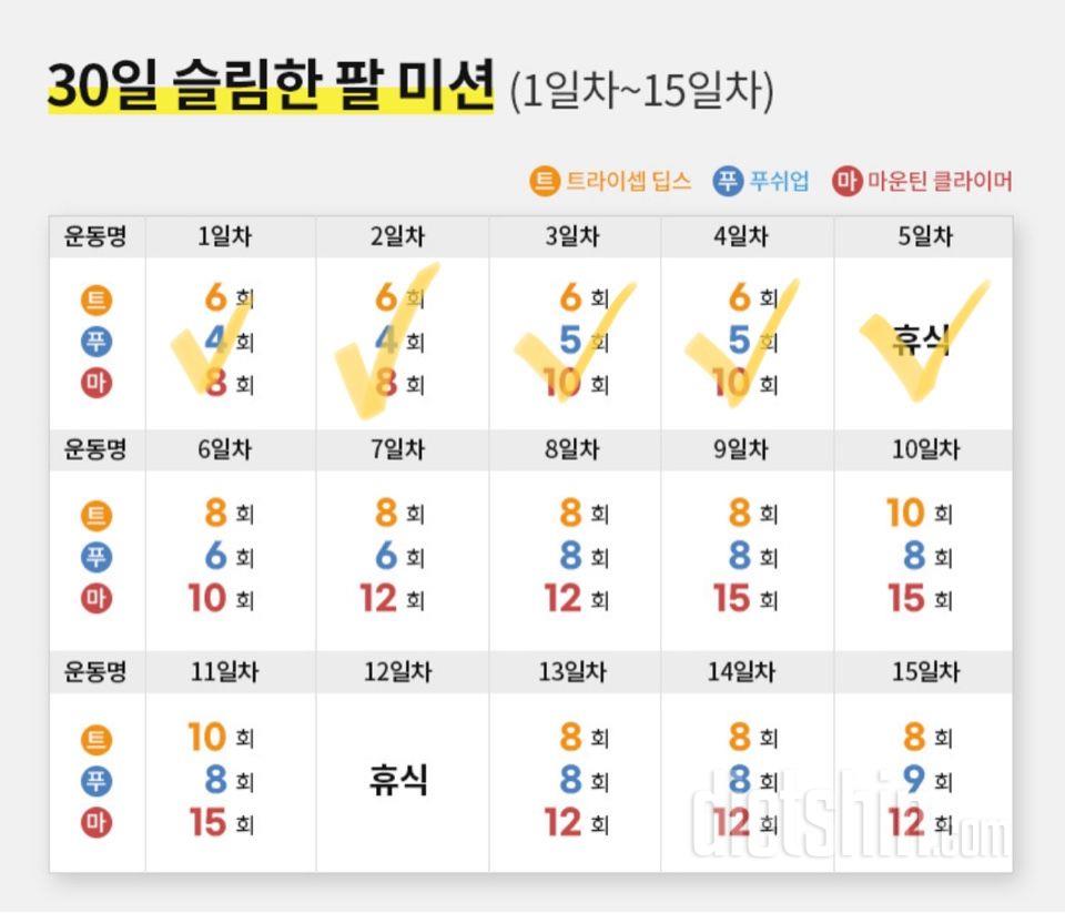 30일 슬림한 팔5일차 성공!