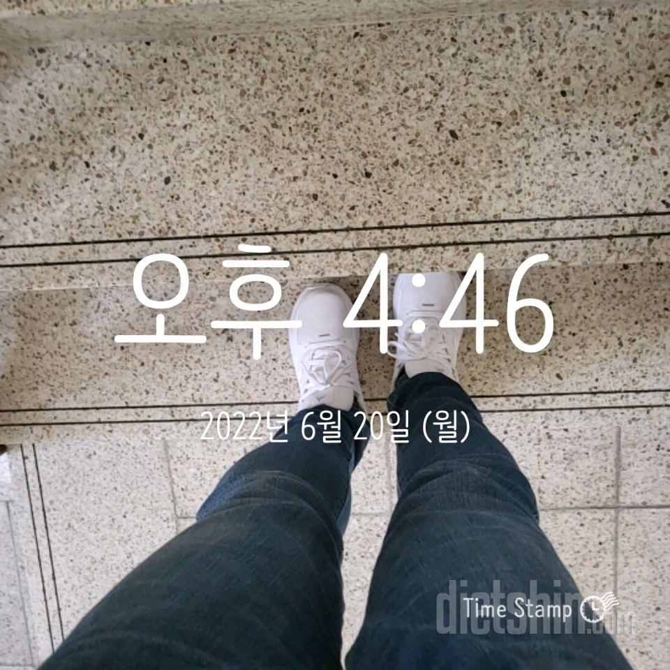 15일 계단 오르기50일차 성공!