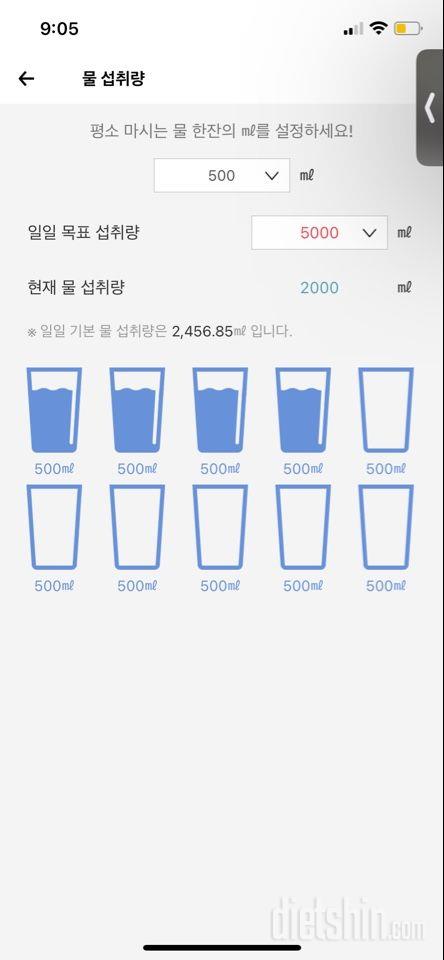 30일 하루 2L 물마시기20일차 성공!