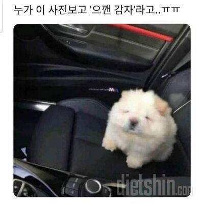 양이 너무너무너무 적어요 ㅎㅎ그래도