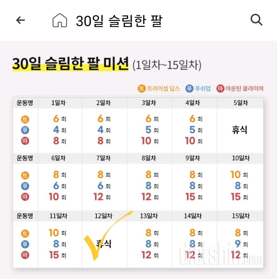 30일 슬림한 팔12일차 성공!