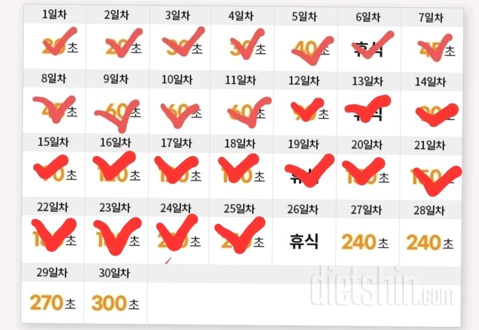 30일 플랭크25일차 성공!