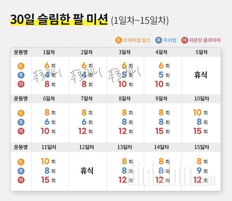 30일 슬림한 팔3일차 성공!